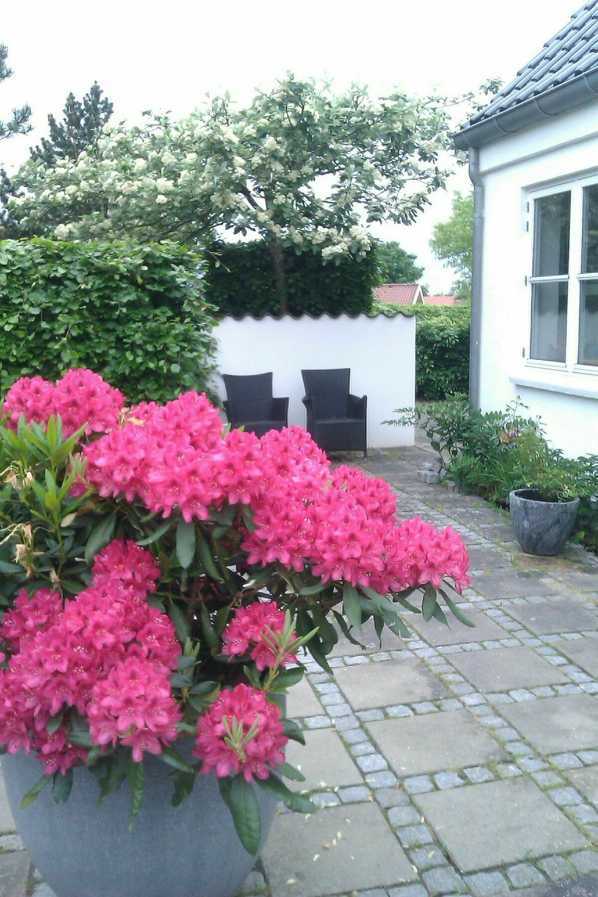 Helts B&B - Helts Guesthouse 헤르닝 외부 사진