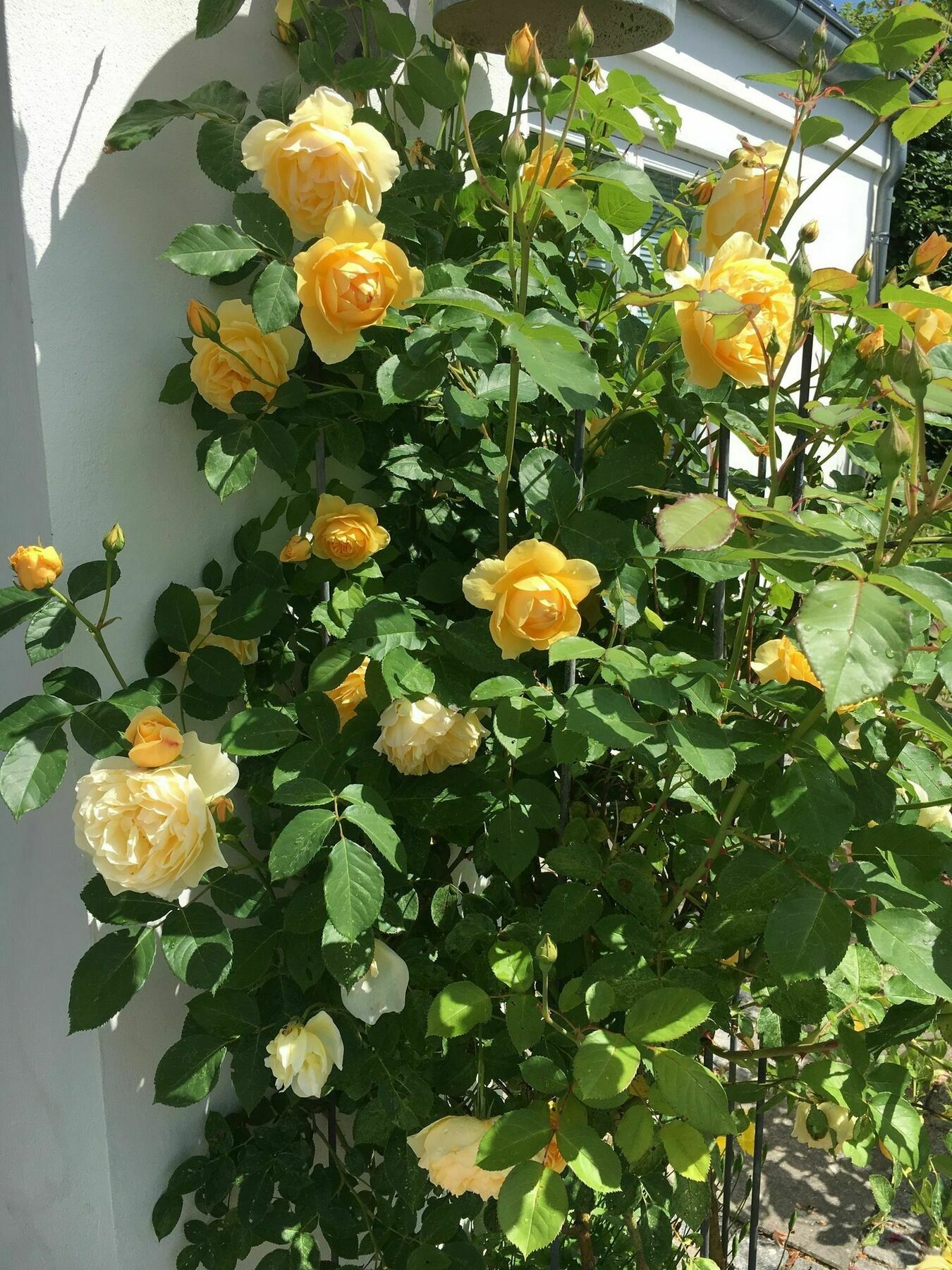 Helts B&B - Helts Guesthouse 헤르닝 외부 사진